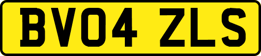 BV04ZLS