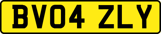 BV04ZLY