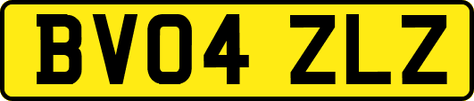 BV04ZLZ