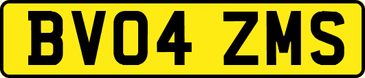 BV04ZMS