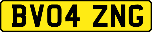 BV04ZNG