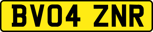BV04ZNR