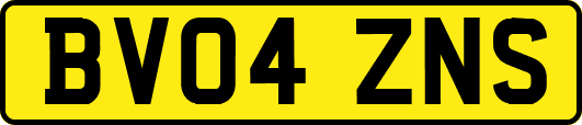 BV04ZNS