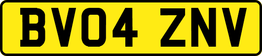 BV04ZNV