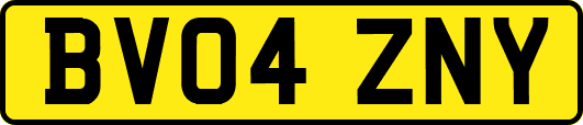 BV04ZNY