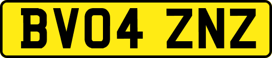 BV04ZNZ