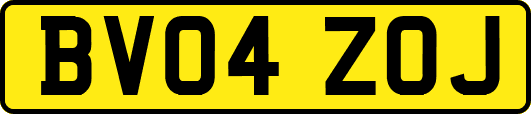 BV04ZOJ