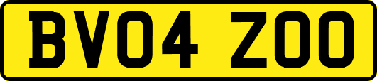 BV04ZOO