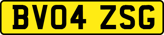 BV04ZSG