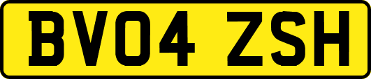 BV04ZSH