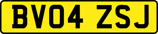 BV04ZSJ