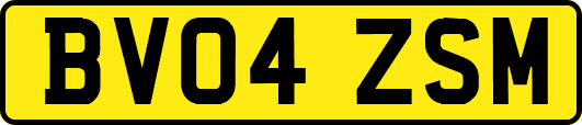 BV04ZSM