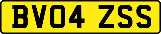 BV04ZSS