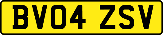 BV04ZSV