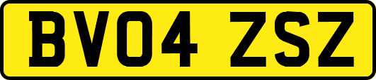 BV04ZSZ