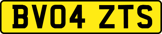 BV04ZTS