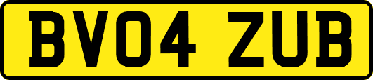 BV04ZUB