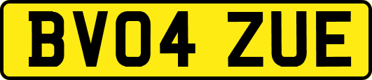 BV04ZUE