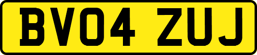 BV04ZUJ