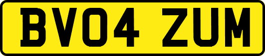 BV04ZUM