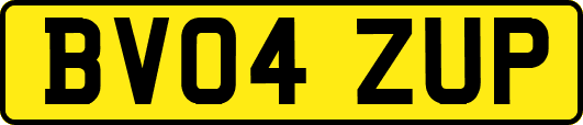 BV04ZUP
