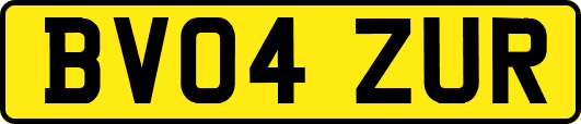 BV04ZUR