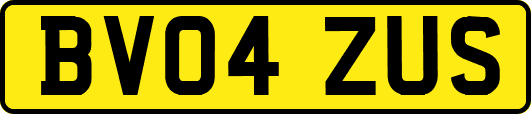 BV04ZUS