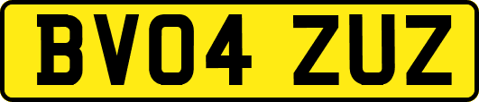 BV04ZUZ