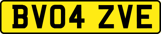 BV04ZVE