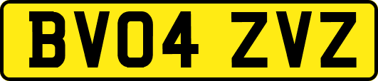 BV04ZVZ