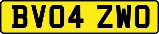BV04ZWO