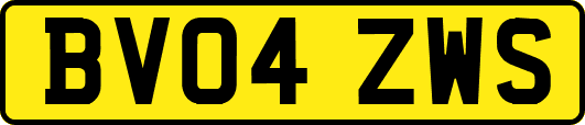 BV04ZWS