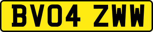 BV04ZWW