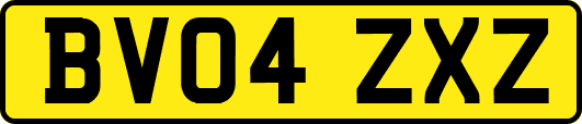 BV04ZXZ