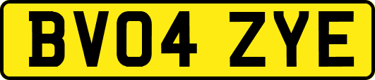 BV04ZYE