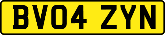 BV04ZYN