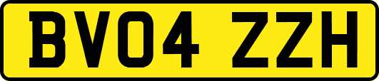 BV04ZZH