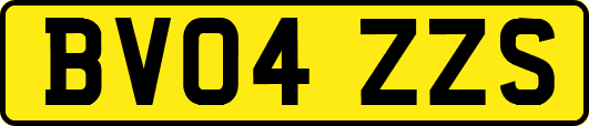 BV04ZZS