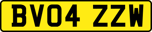 BV04ZZW
