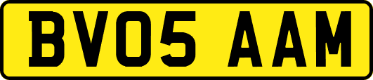 BV05AAM
