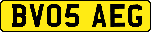 BV05AEG