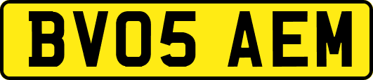 BV05AEM