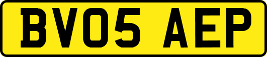 BV05AEP