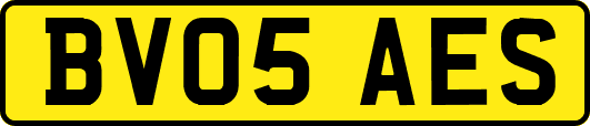 BV05AES