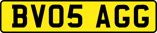 BV05AGG