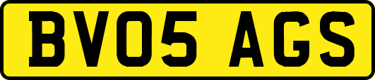BV05AGS