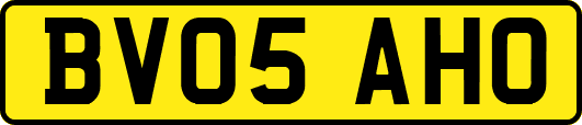 BV05AHO
