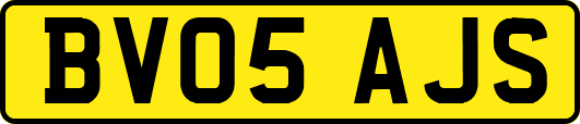 BV05AJS