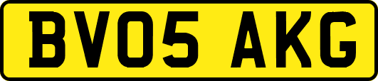 BV05AKG