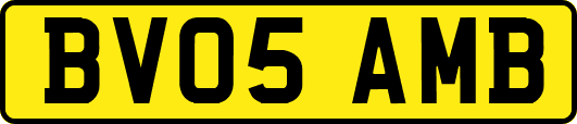 BV05AMB